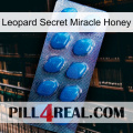 Leopard Secret Miracle Honey viagra1